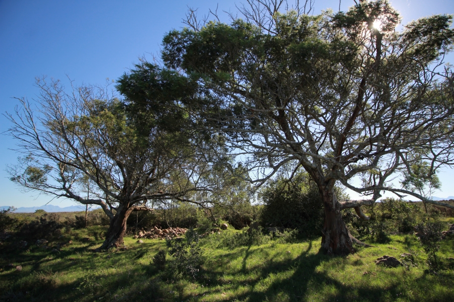 0 Bedroom Property for Sale in Mossel Bay Rural Western Cape